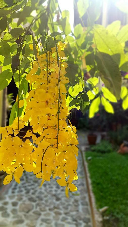 Villa Del Angel Ajijic Ngoại thất bức ảnh